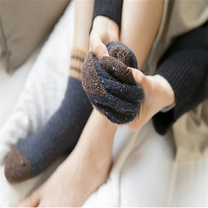 Paquete de 5 colores cálidos para otoño e invierno