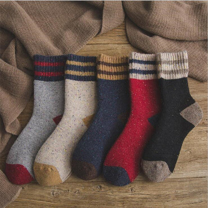 Paquete de 5 colores cálidos para otoño e invierno