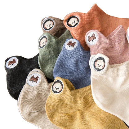 Paquete de 10 perros con mezcla de colores