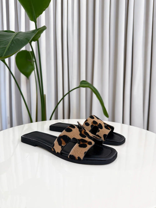 Aria | Edición elegante