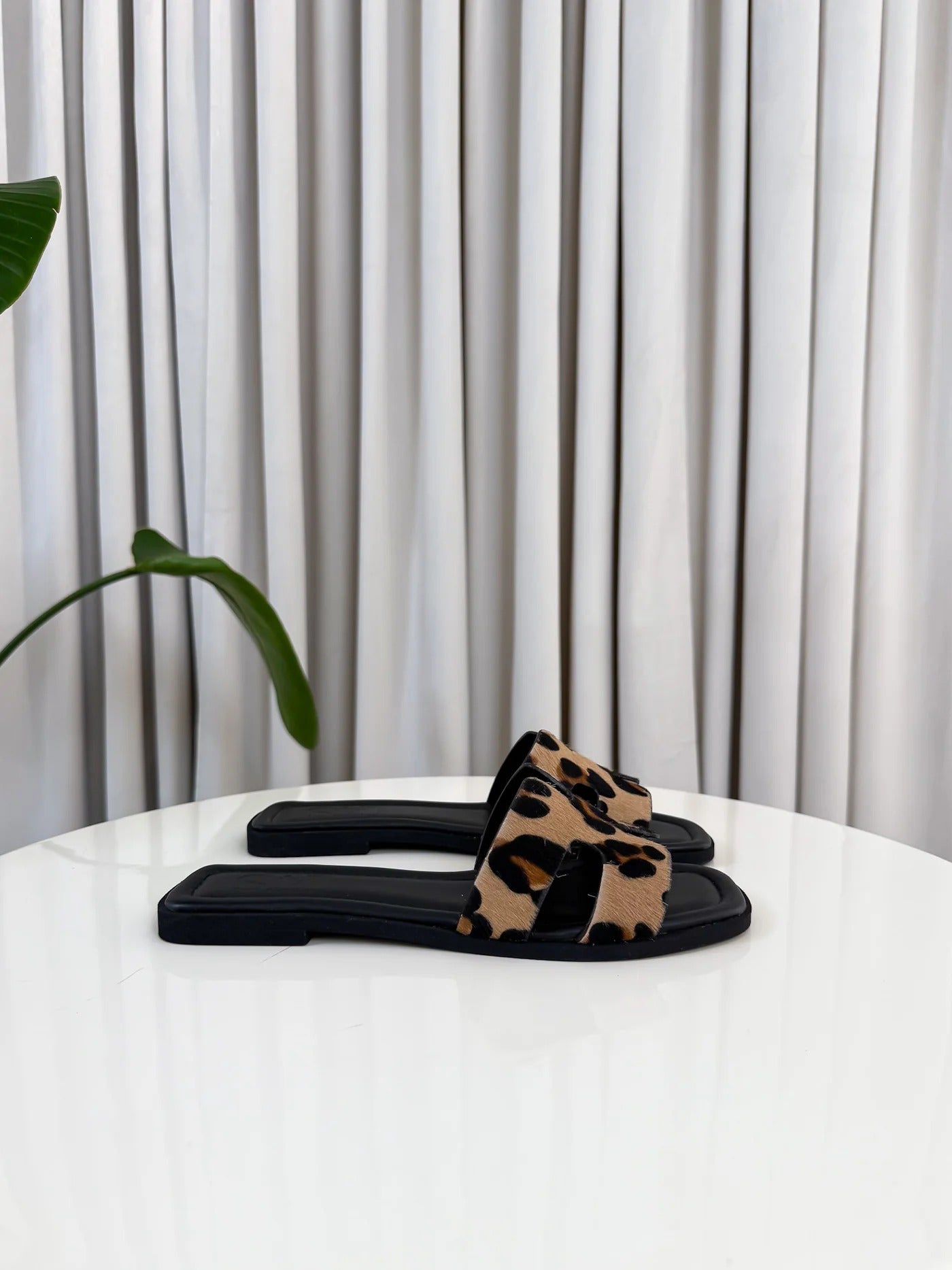 Aria | Edición elegante